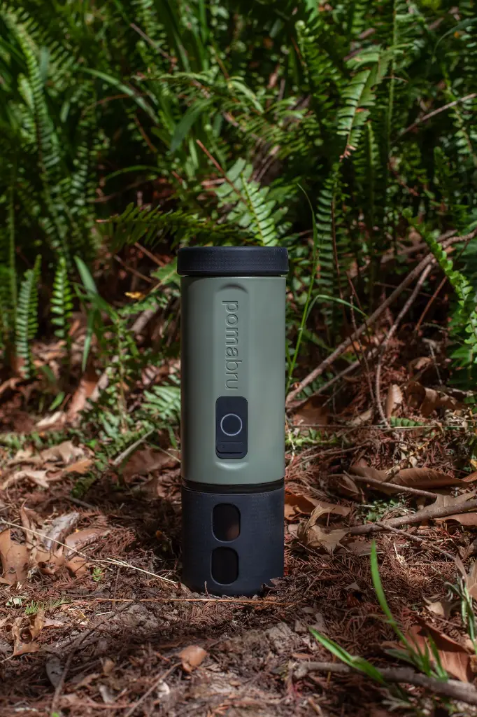 POMABRU in the wild 3.webp