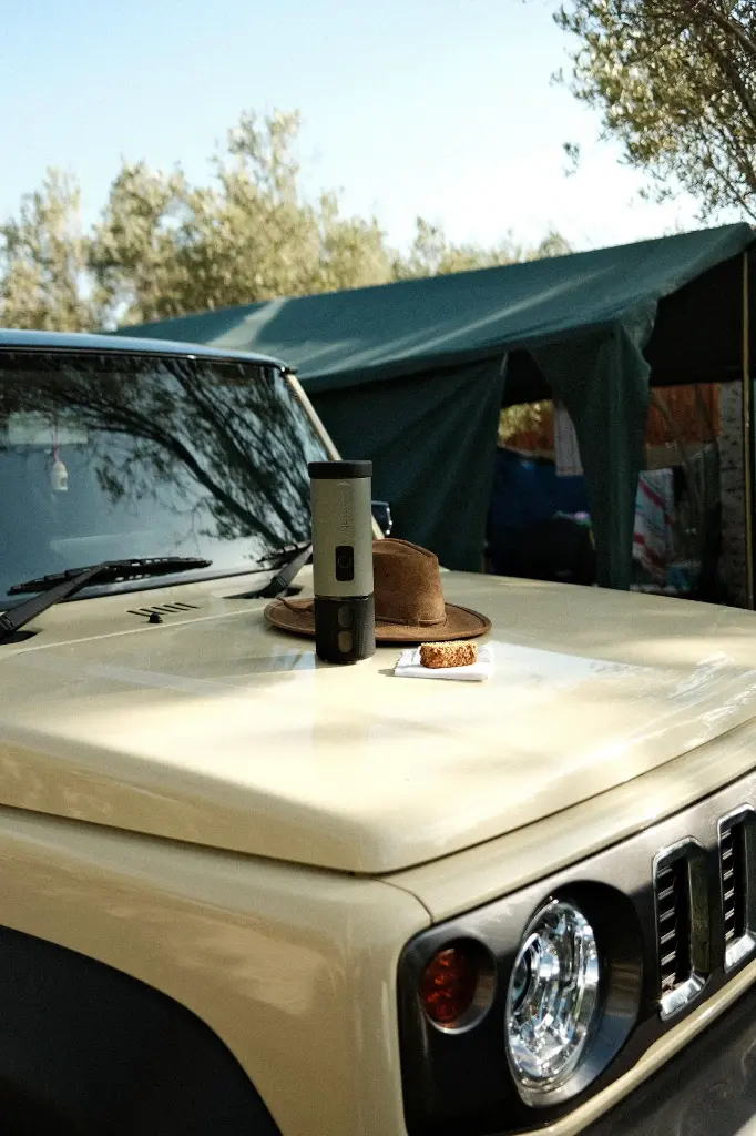 POMABRU in the wild 7.webp