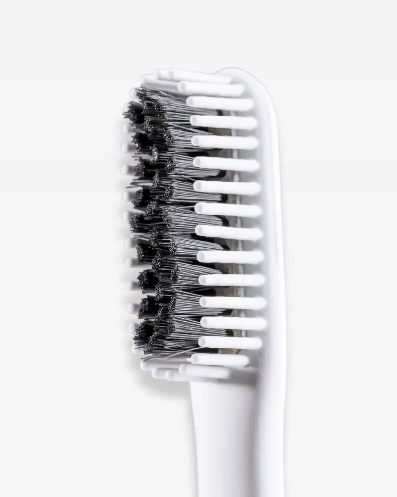 White pomabrush Bristles — macro 4_5.webp