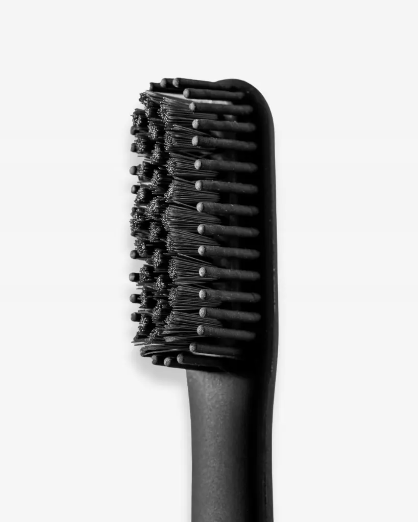 black pomabrush Bristles — macro 4_5.webp